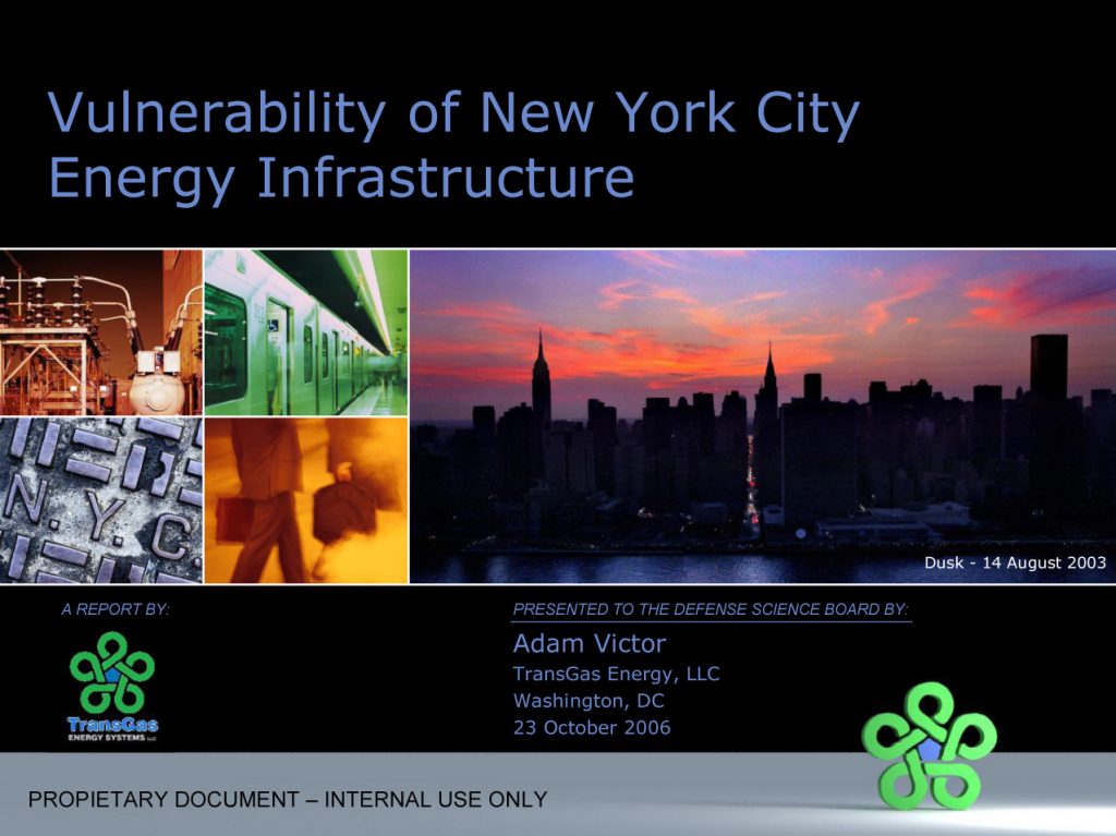 NYC Vulnerability Report Adam Victor